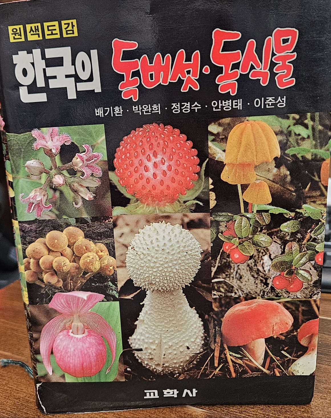 한국의 독버섯 독식물