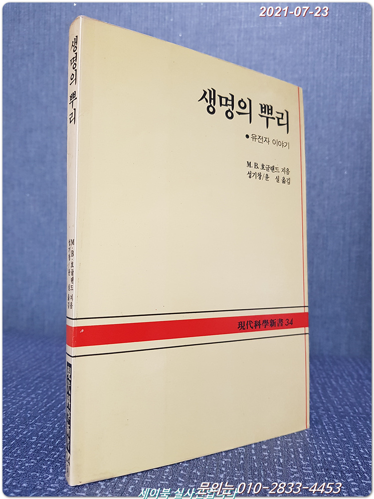 생명의 뿌리 - 유전자 이야기 <현대과학신서 34>