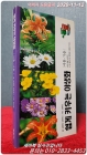 쉽게 키우는 야생화  - 여름,가을 상품 이미지