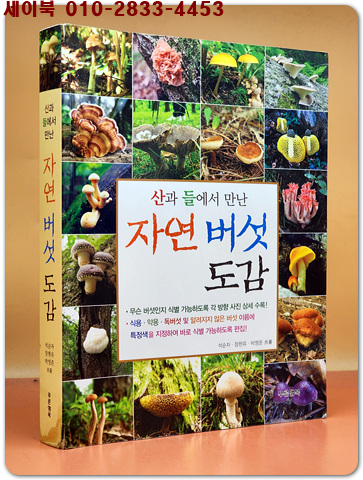 자연 버섯 도감 (산과 들에서 만난)