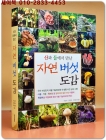 자연 버섯 도감 (산과 들에서 만난) 상품 이미지