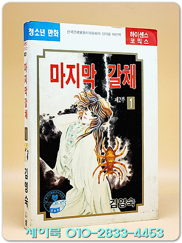 마지막 갈채 1 - 김영숙 글.그림 <1992년 초판> 