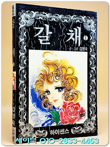 갈채 1 - 김영숙 글.그림 <1991년 초판> 수집가소장용