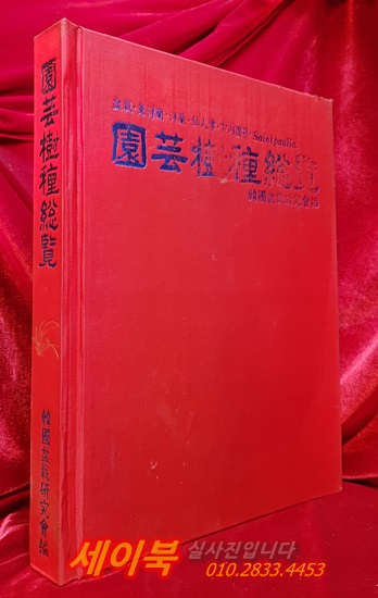 園藝樹種總覽-분재,동양란, 양란, 선인장,실내원예,Saint paulia 
