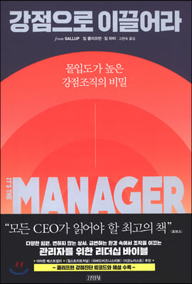 강점으로 이끌어라 (몰입도가 높은 강점조직의 비밀)
