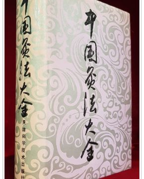 중국구법대전 中国灸法大全