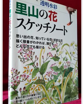 透明水彩　里山の花スケッチノート (투명수채)뒷동산의 꽃 스케치노트 