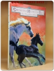Cheyenne Medicine Hat Hardcover – September 1, 2006 상품 이미지