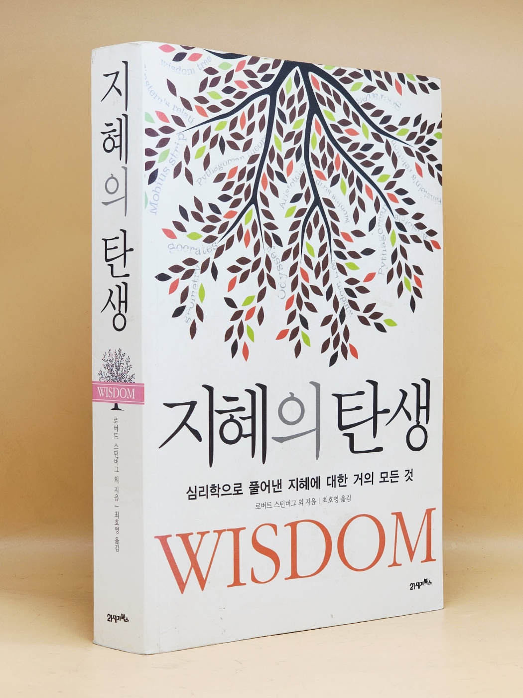 지혜의 탄생 (심리학으로 풀어낸 지혜에 대한 거의 모든 것) 절판본