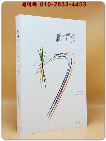 BTS 7 -방탄소년단에 대한 책