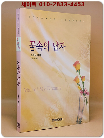 꿈속의 남자 - 조안나 린지 장편소설