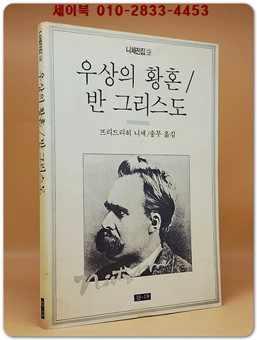 우상의 황혼/반 그리스도 (니체전집 9)
