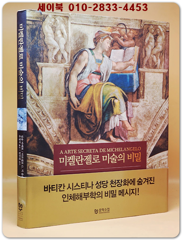 미켈란젤로 미술의 비밀 - 시스티나 성당 천장화의 해부학 연구 (원제 : A Arte Secreta de Michelangelo) 상품 이미지