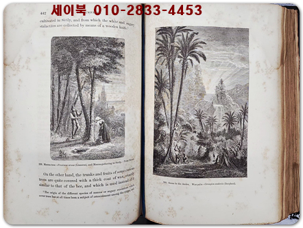 Antique Illustrated Book the Universe(앤티크 일러스트 북 더 유니버스) 1870