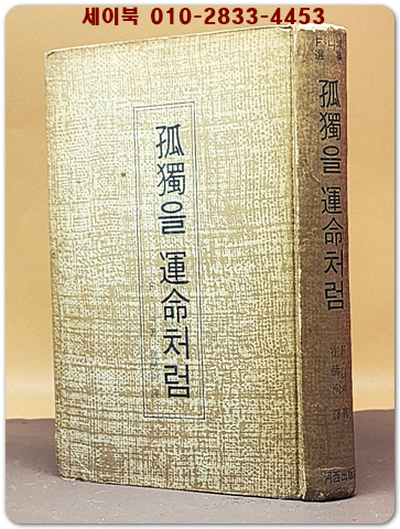 고독을 운명처럼 - 프리드리히 니이체 著