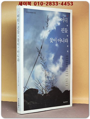 어디 핀들 꽃이 아니랴 (인권사진 프로젝트폅집기획 사진집) 상품 이미지