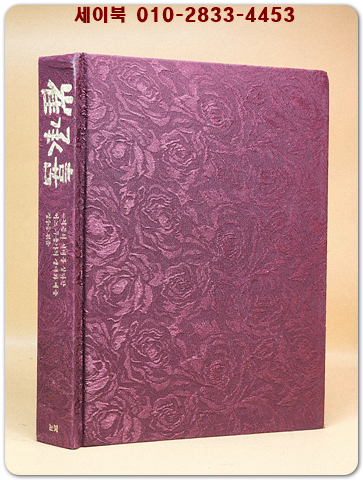 최승희 평전 - 한류 제1호 무용가 최승희의 삶과 꿈 [절판본] 상품 이미지