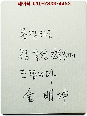 비가비 광대 - 김명곤 산문집