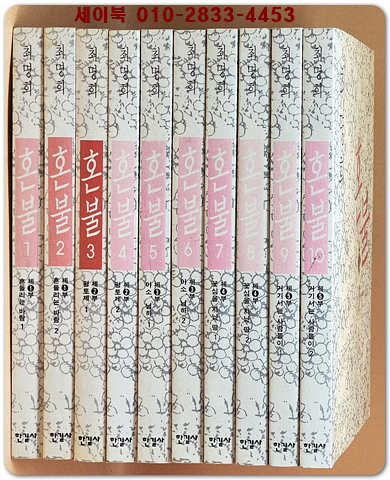 혼불 1-10 (전10권) -최명희 장편소설 상품 이미지